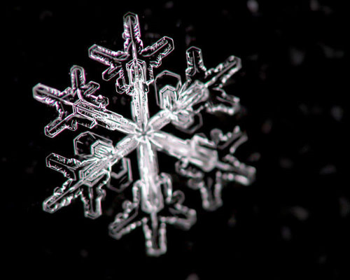 Incredible Examples of Snowflake Photography