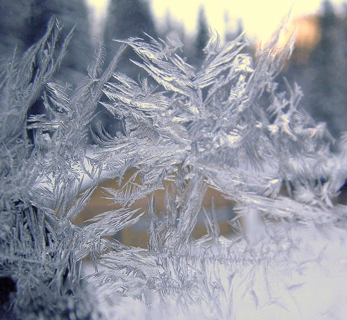 Incredible Examples of Snowflake Photography