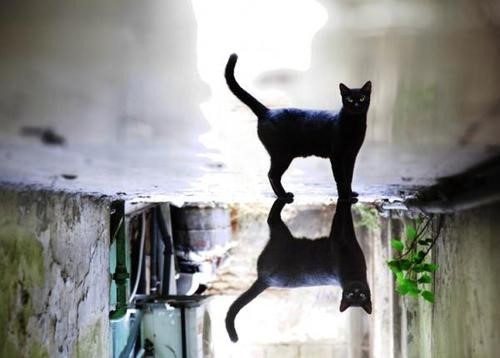 你一直很孤单吧。