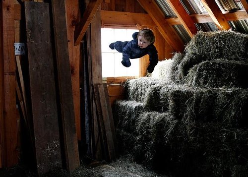 有那么一个梦想……已经消失很久了