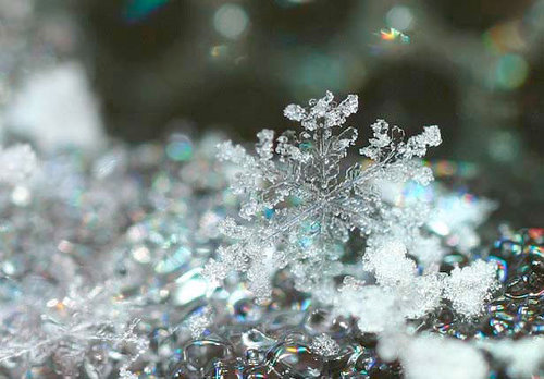 Incredible Examples of Snowflake Photography