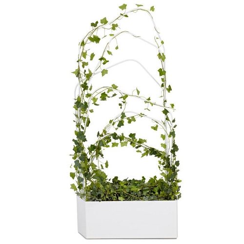 给生活加点料 给生活加点料