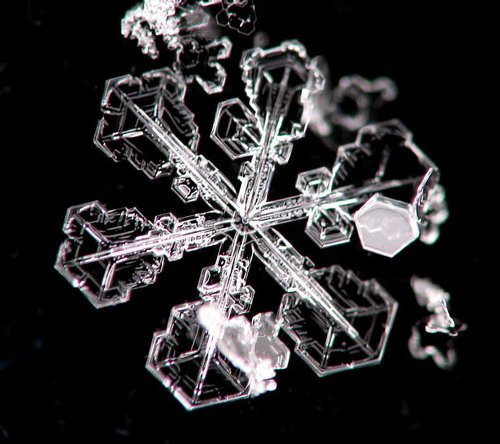 Incredible Examples of Snowflake Photography