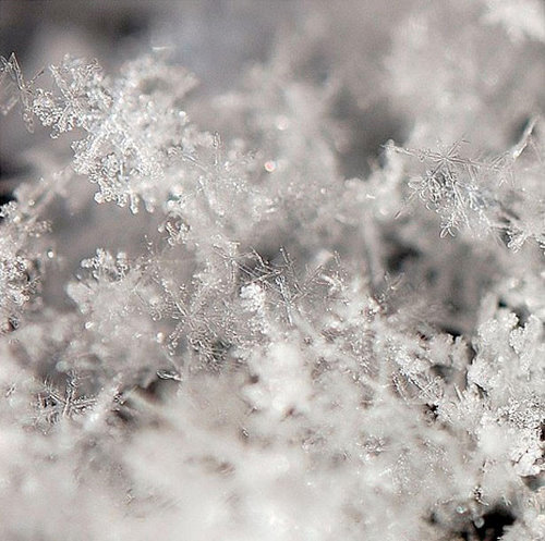 Incredible Examples of Snowflake Photography