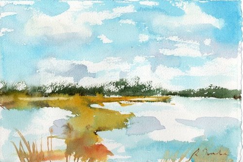 Sumiyo Toribe   作品