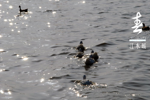 春江水暖@金坛  钱资荡