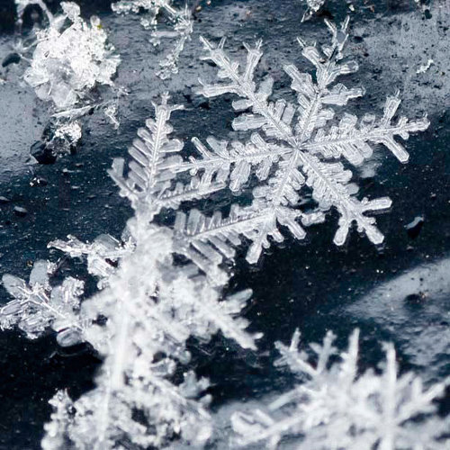 Incredible Examples of Snowflake Photography