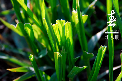 春江水暖@金坛  钱资荡