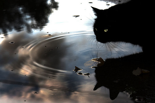 你一直很孤单吧。