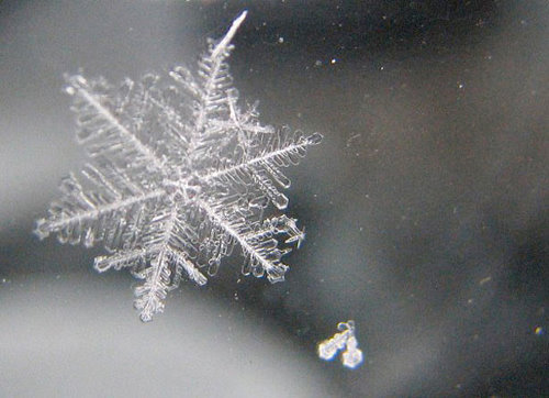 Incredible Examples of Snowflake Photography
