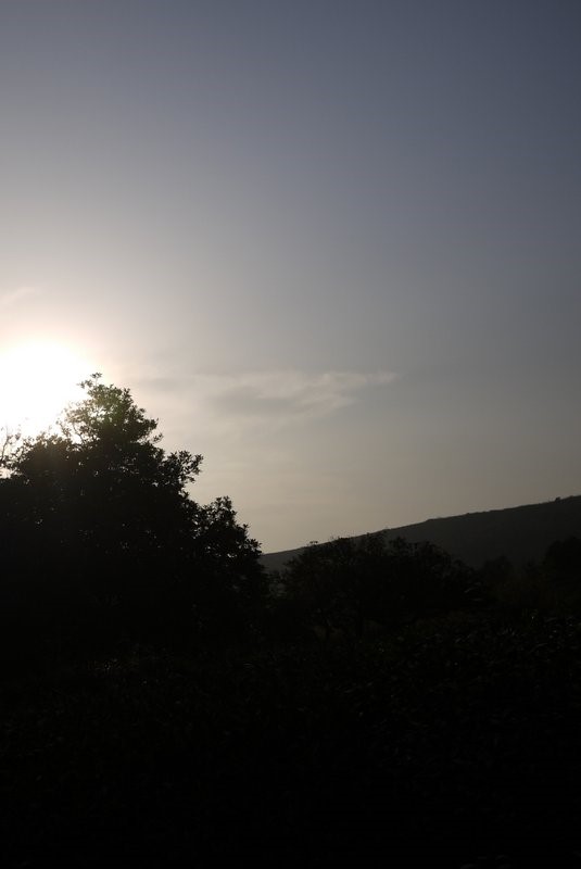 预告・桃花逸枝・碧螺春 预告・桃花逸枝・碧螺春