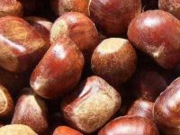 板栗可以治早泄吗？板栗治疗早泄食谱
