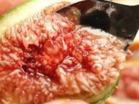 女人吃无花果的好处，无花果对乳房的功效