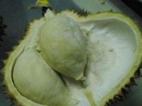 哺乳期可以吃榴莲吗，哺乳期吃榴莲对婴儿好吗