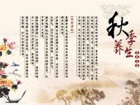 秋季养生饮食禁忌 秋天的养生六大注意事项