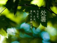 处暑是什么意思呢，处暑节气的含义及特点