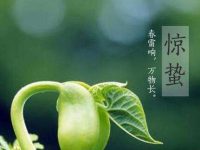 惊蛰吃什么食物？惊蛰吃什么食物养生？