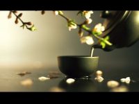 人生就像一杯茶，不会苦一辈子，但总会苦一阵子。。。。