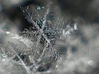 Incredible Examples of Snowflake Photography