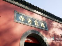 栖霞问禅