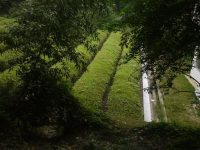 在奔波 在奔波