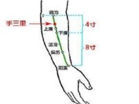 手三里在曲池下几寸，手三里按特别痛是怎么回事