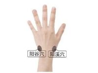 阳谷功效与作用，阳谷的准确位置真人图片