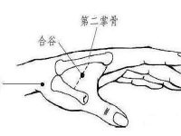 合谷怎么按摩,经常按摩合谷有什么好处 合谷怎么按摩,经常按摩合谷有什么好处