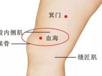 自己如何找血海，血海的准确位置图和作用