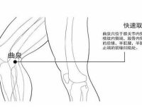曲泉的快速找法，曲泉的准确位置图和作用