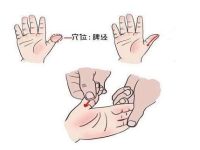 脾在人体的什么位置,脾经的准确位置图 脾在人体的什么位置,脾经的准确位置图