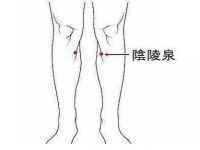 阴陵泉的神奇功效，阴陵泉的功效与作用
