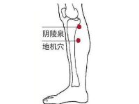 阴陵泉最简单的找法，阴陵泉的准确位置图及功效