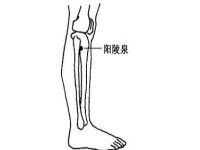 阴陵泉疼痛预示着什么，阴陵泉按压疼死了