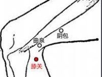 找膝关的简单方法，膝关的准确位置图和作用