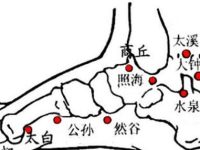 找商丘的简单方法，商丘穴的准确位置图和作用