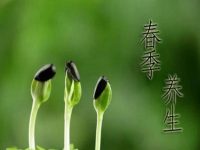 一年之计在于春，不得不知的春季养生常识