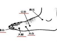 大都的最笨找法，大都的准确位置图和作用