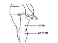 伏兔怎么简单取准确，经常按伏兔会怎么样