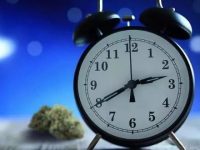 失眠障碍影响健康 给你良好睡眠的十条建议
