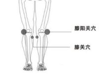 膝阳关的具体位置，膝阳关的作用功能主治