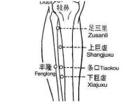上巨虚和下巨虚的作用，上巨虚的准确位置图和取法