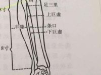 条口什么意思，条口穴的位置和功效