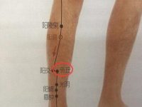 外丘穴的最笨找法，外丘的准确位置图和作用