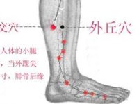 阳交穴的定位和主治，阳交的准确位置图和作用