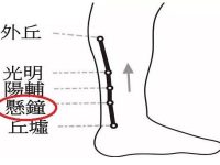悬钟的定位和主治，悬钟的准确位置图和作用