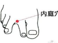 内庭的定位和主治，内庭的准确位置及功效