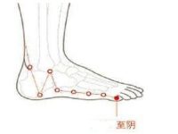 至阴是什么意思，至阴的定位和主治