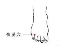 侠溪的准确位置怎么找，侠溪的准确位置图和作用
