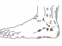 申脉的定位和主治，申脉的准确位置图和作用